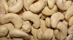 Manufacturers Exporters and Wholesale Suppliers of Cashew Nuts Mumbai Maharashtra